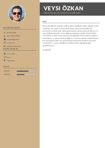 Mekatronik Mühendisliği Cv Örnekleri cv indir